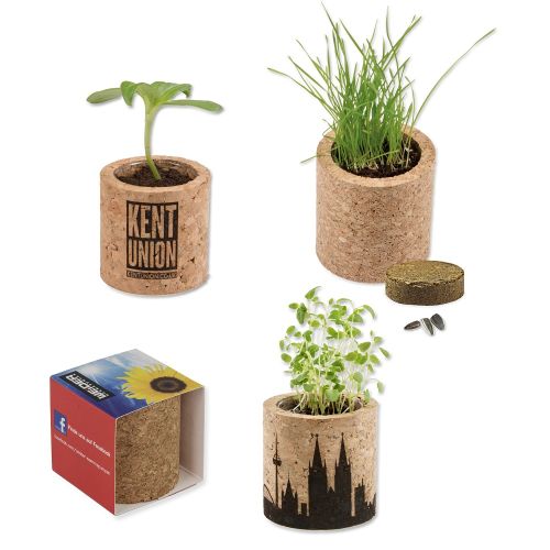 Cork plant set - Image 1
